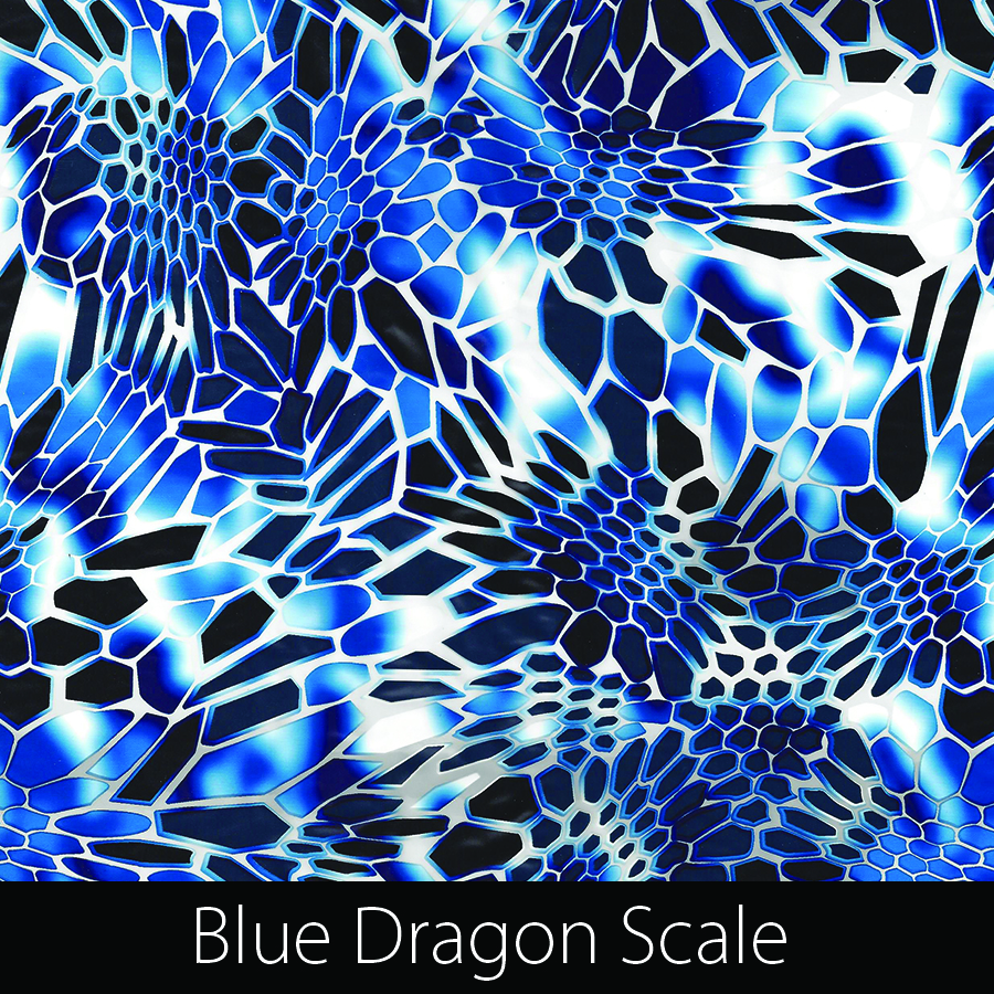 https://kidsgameon.com/wp-content/uploads/2016/10/Blue-Dragon-Scale.jpg