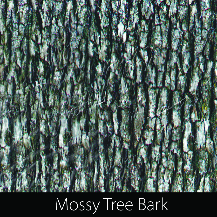 https://kidsgameon.com/wp-content/uploads/2016/10/Mossy-Tree-Bark.jpg